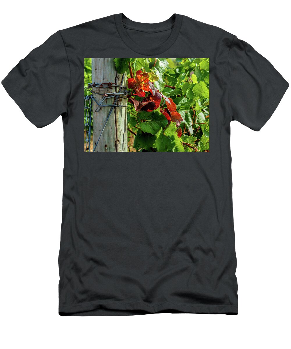 Farm T-Shirt featuring the photograph The colors of autumn by Leslie Struxness