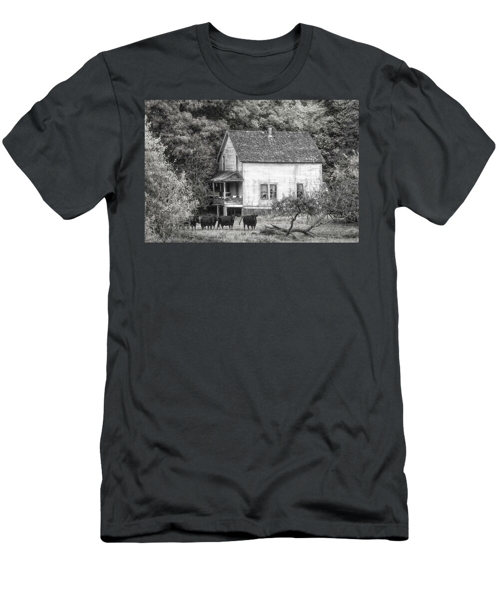 American T-Shirt featuring the photograph The Cows Came Home in Black and White by Debra and Dave Vanderlaan