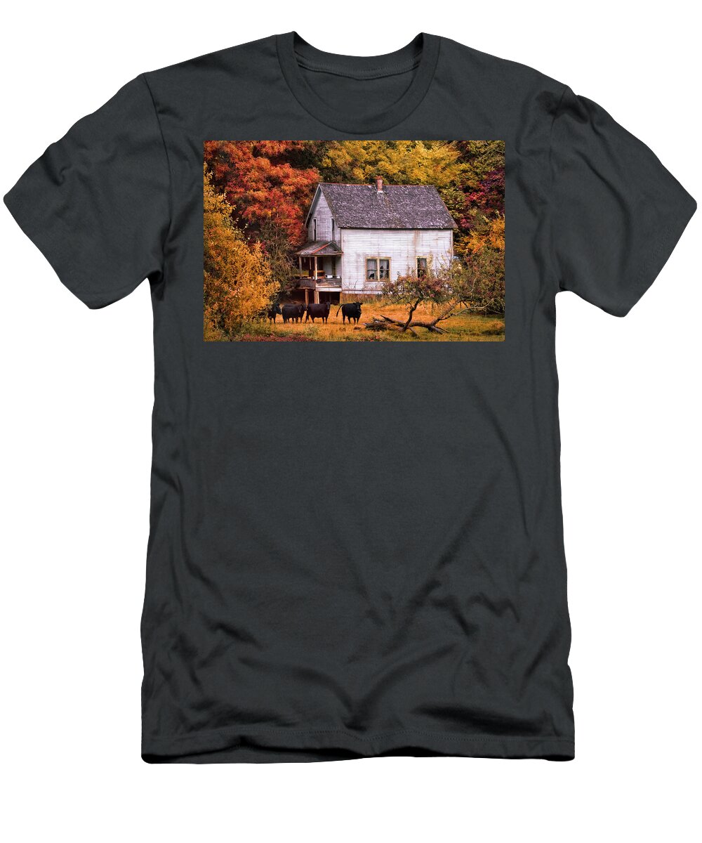 American T-Shirt featuring the photograph The Cows Came Home in the Fall by Debra and Dave Vanderlaan