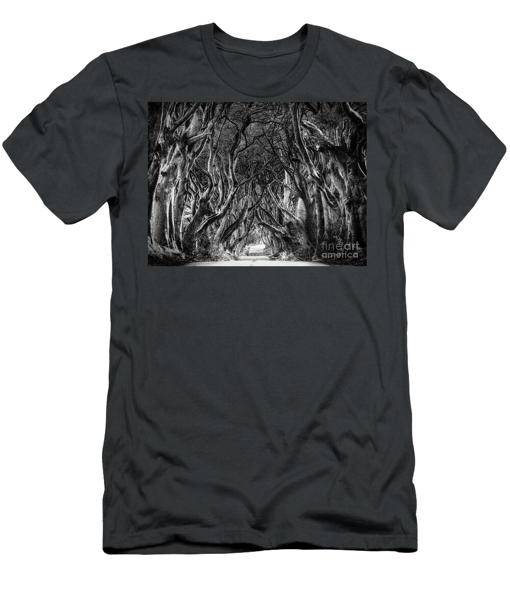 Ireland T-Shirt featuring the photograph The Dark Hedges by Phil Perkins