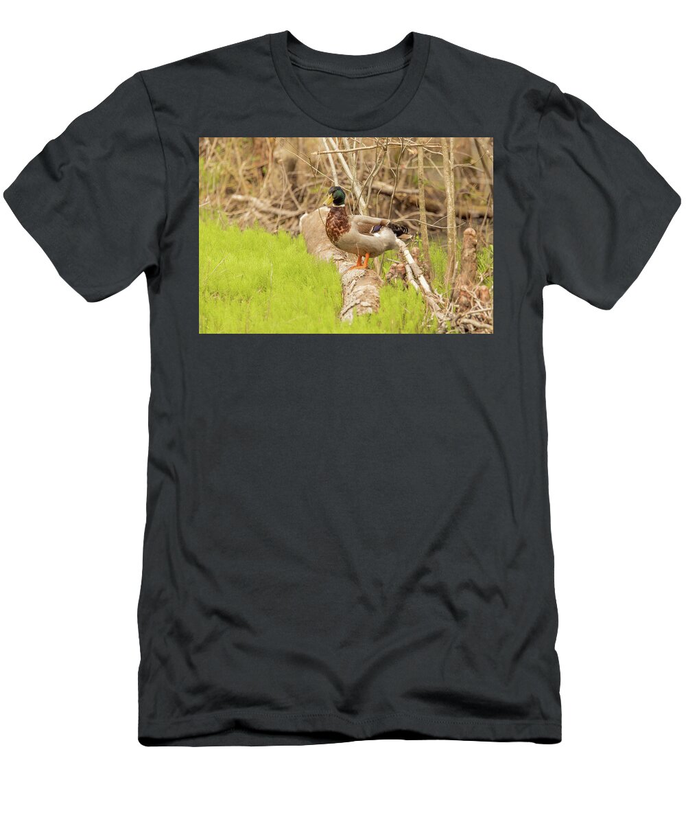 Nature Photography T-Shirt featuring the photograph The Drake by Donna Twiford