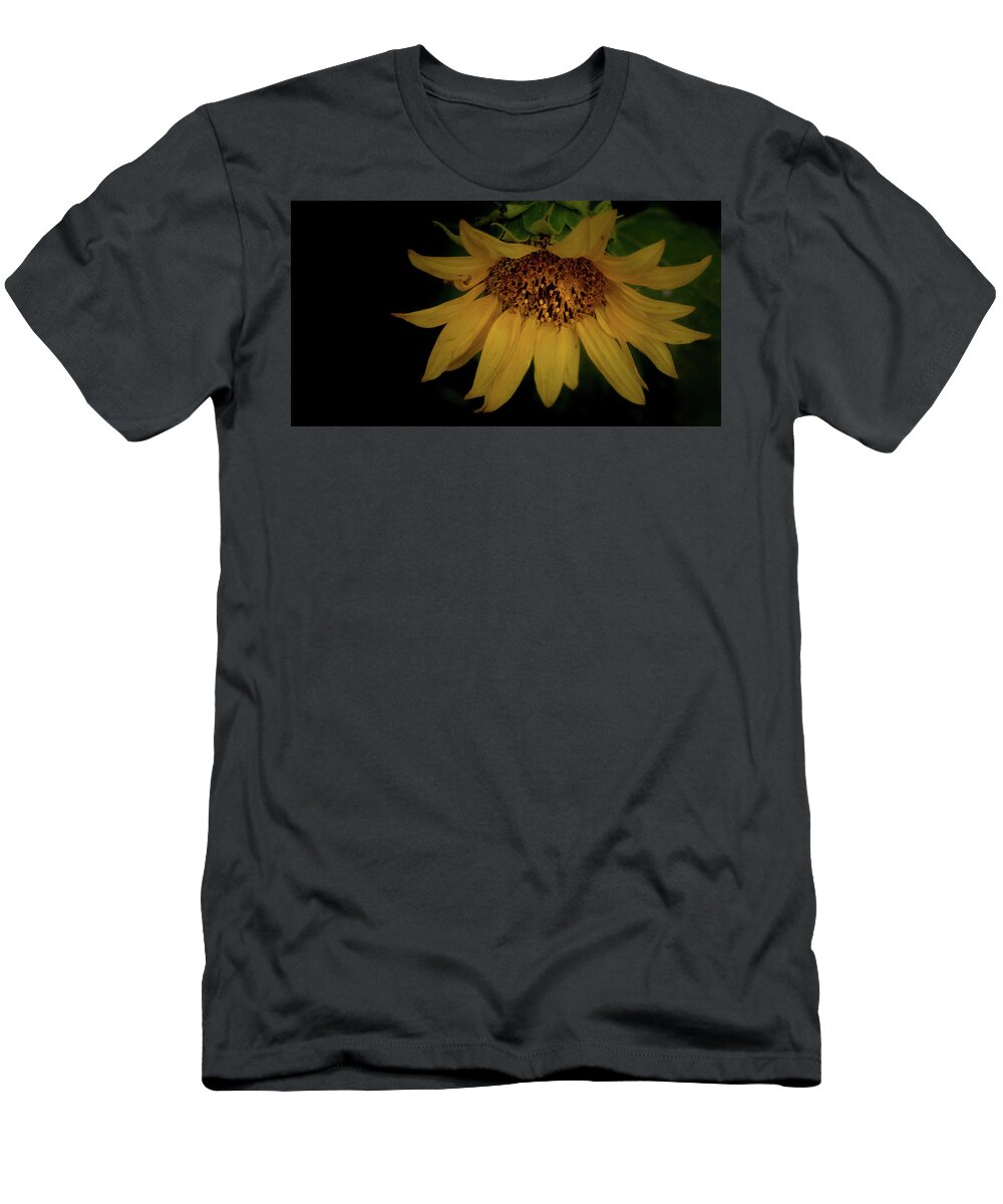 Flower T-Shirt featuring the photograph The Flashy Wild Sunflower by Laura Putman