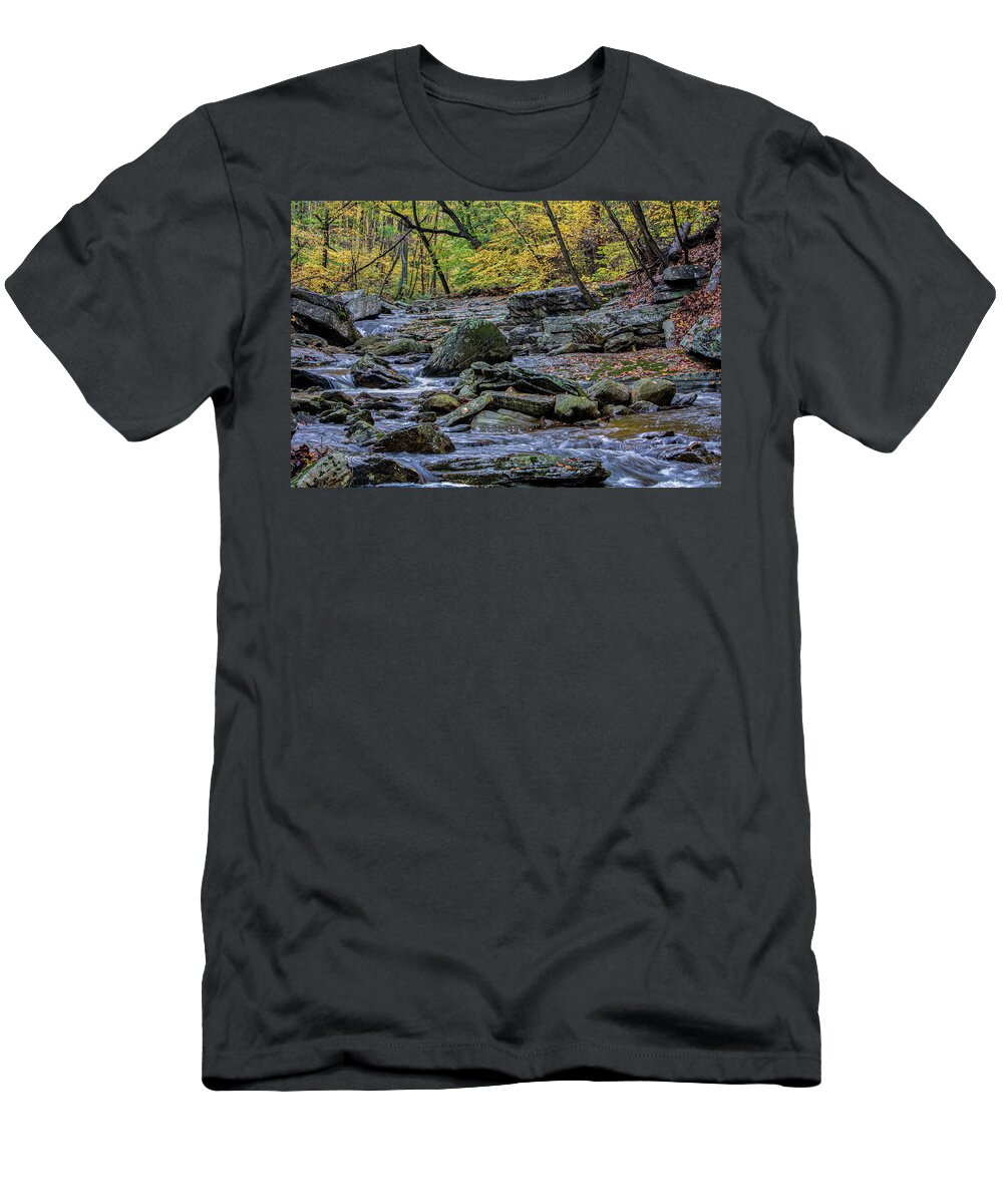 Autumn T-Shirt featuring the photograph The Flow of Autumn by Brian Shoemaker