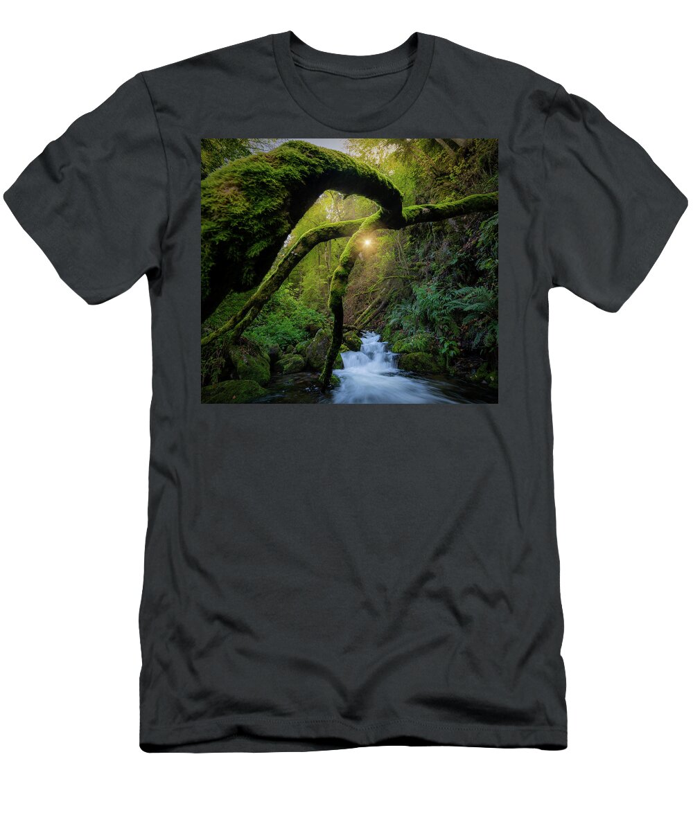 Forest T-Shirt featuring the photograph The forest claw by Cosmin Stan