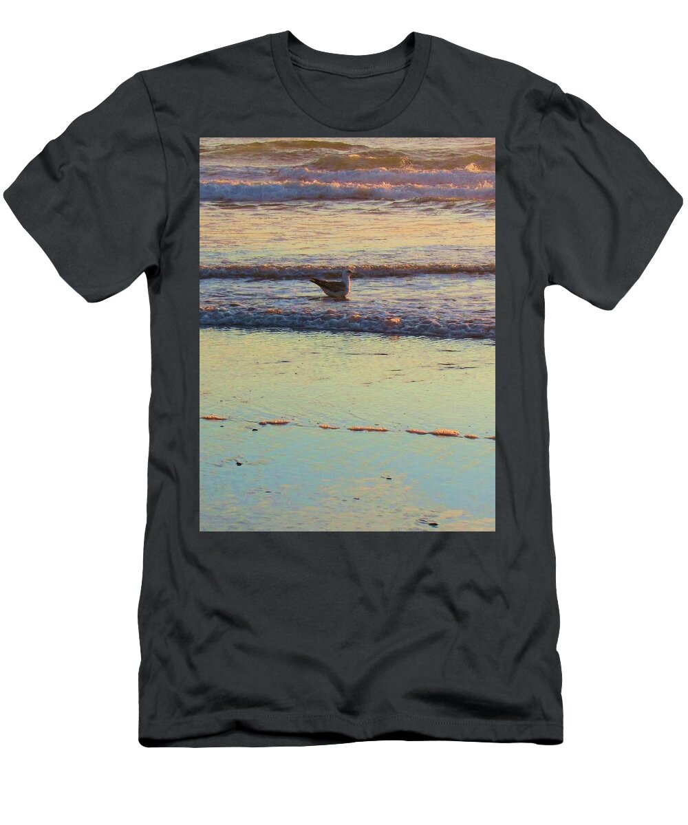 Beach T-Shirt featuring the photograph The Golden Hour by Deahn Benware