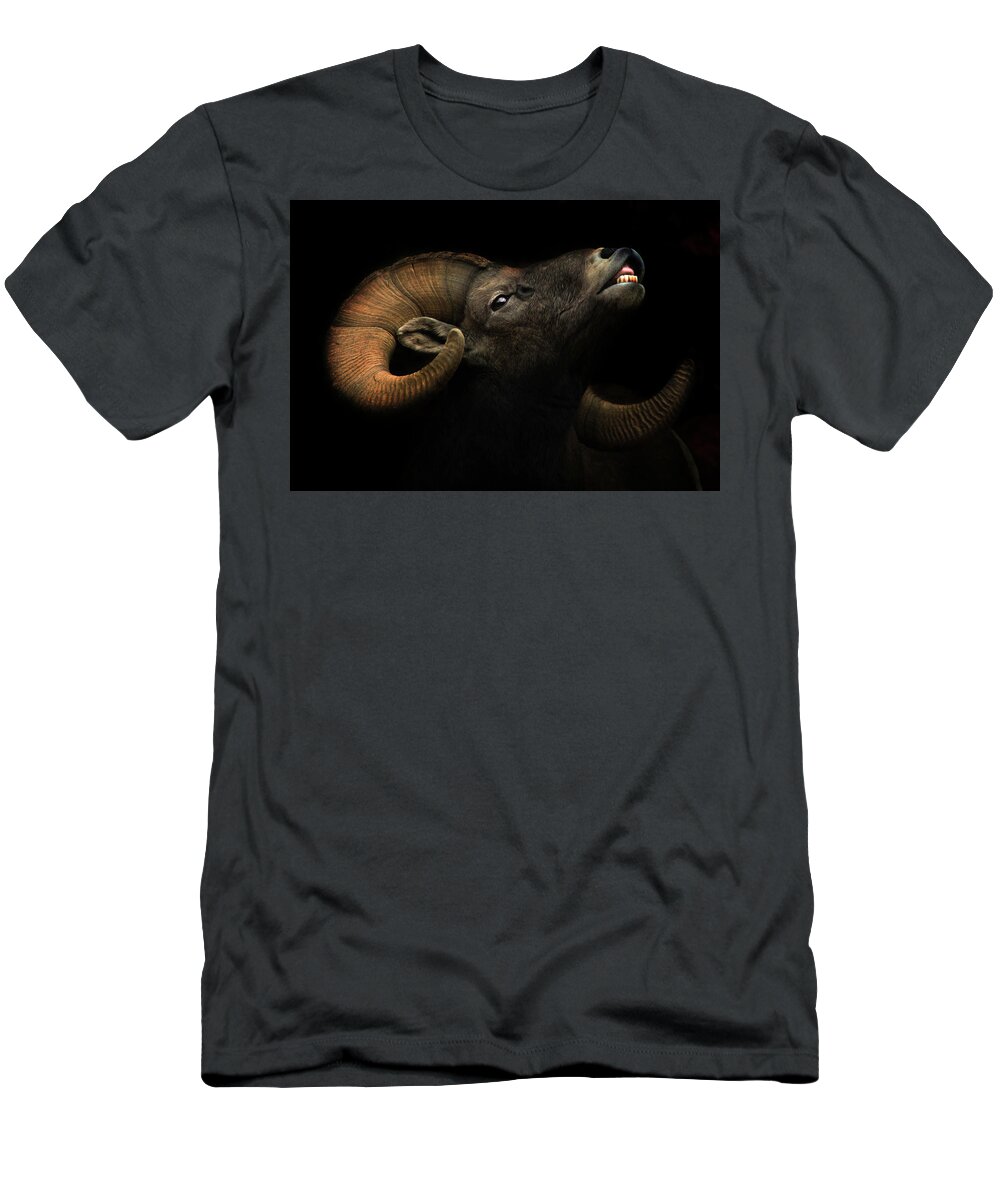 Bighorn T-Shirt featuring the photograph The King of The Mountain by Brian Gustafson