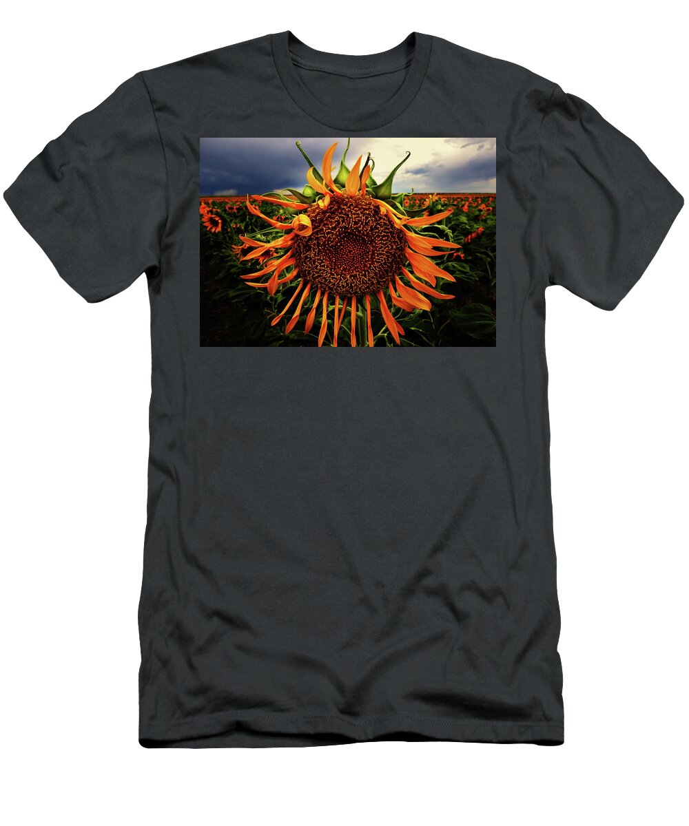 Sunflower T-Shirt featuring the photograph The Leader of The Pack by Brian Gustafson