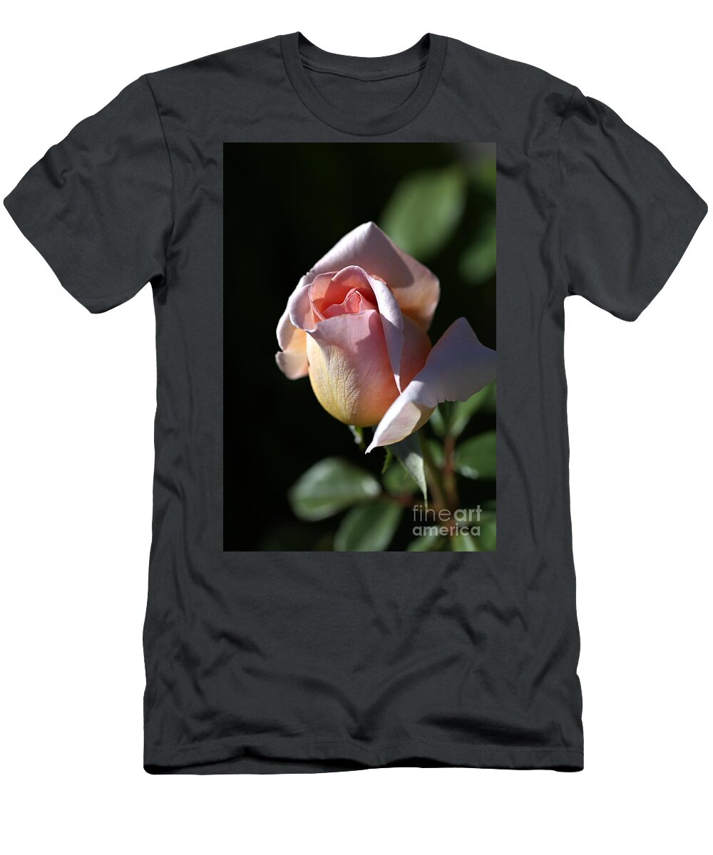 Abraham Darby Rose Flower T-Shirt featuring the photograph The Morning Pink Rose by Joy Watson
