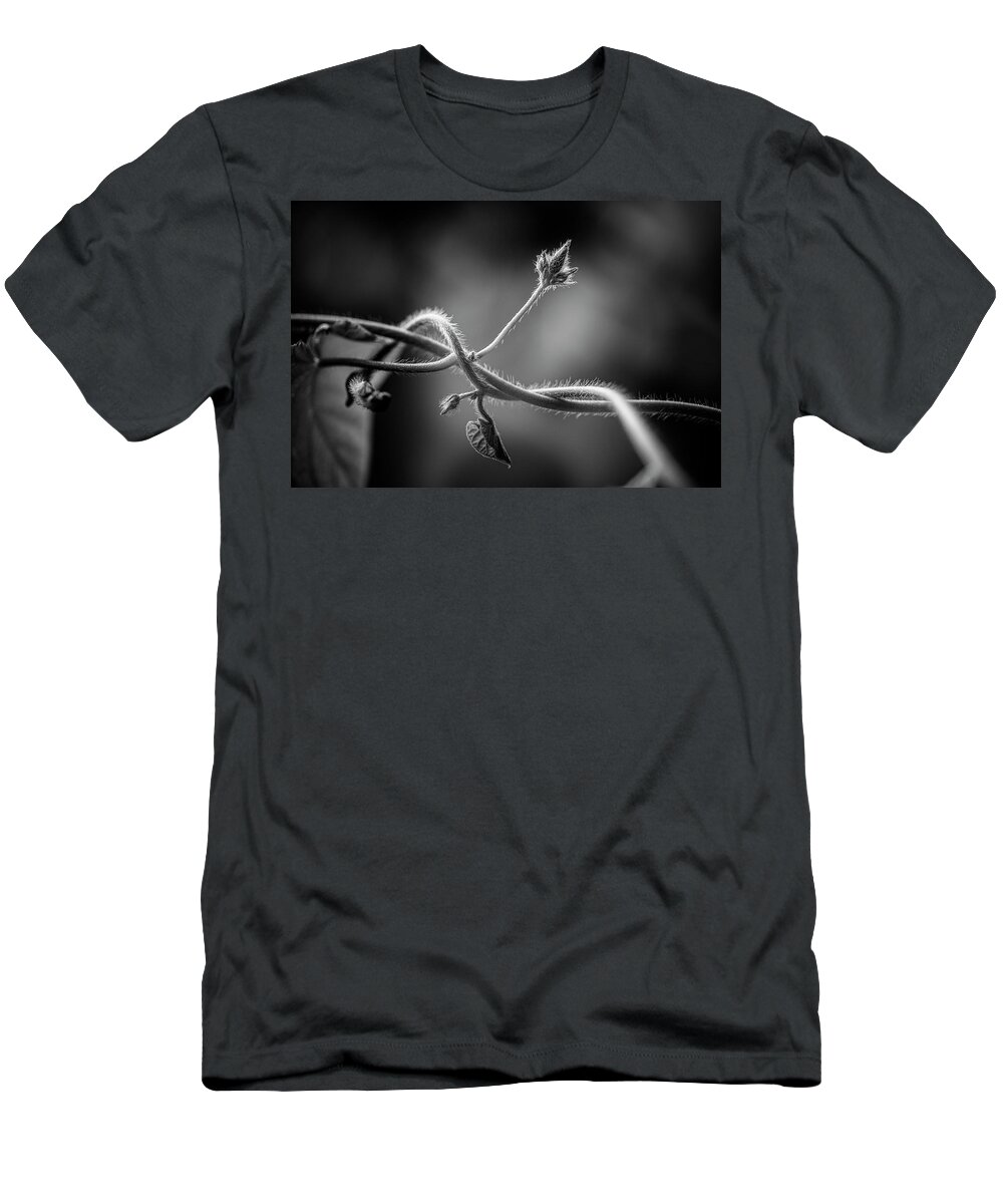 Blumwurks T-Shirt featuring the photograph The Path Of Least Resistance by Matthew Blum