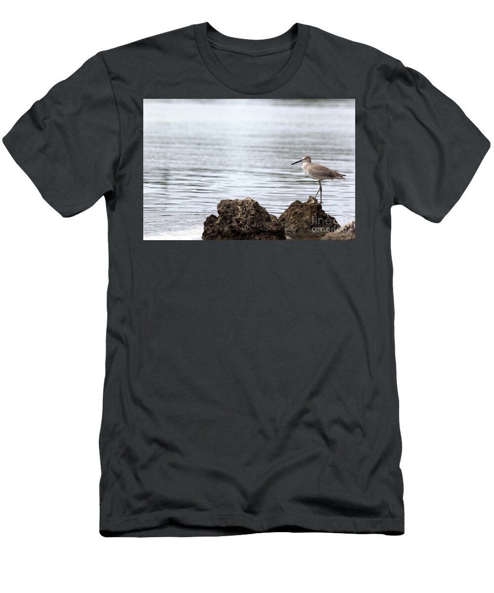Bird; Sandpiper; Water; Gulf Of Mexico; Florida; Key West; Sunlight; Reflections; Ripples; Rocks; Beach; T-Shirt featuring the photograph The Sandpiper by Tina Uihlein