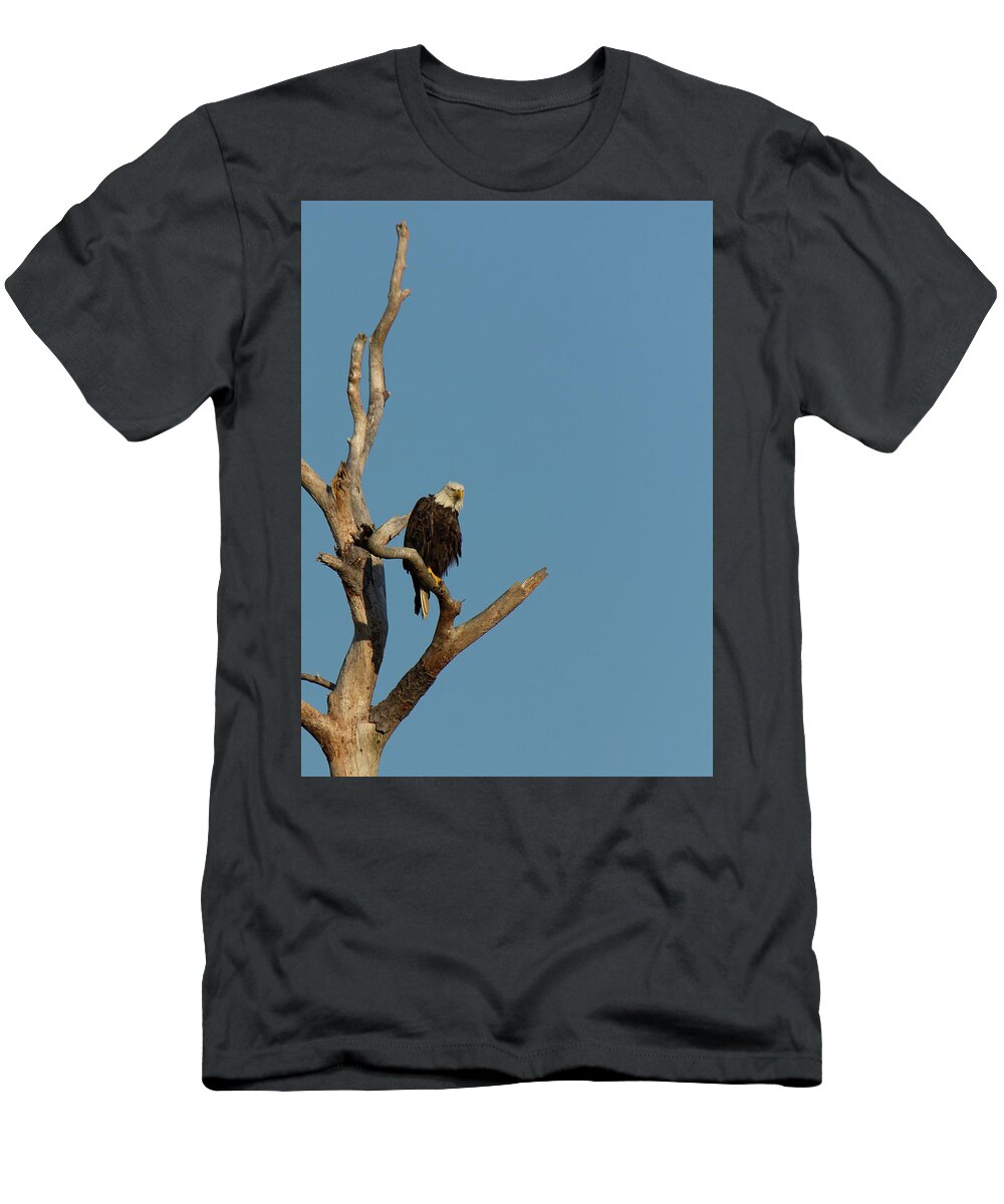 2016 T-Shirt featuring the photograph The Sentinel by Charles Floyd