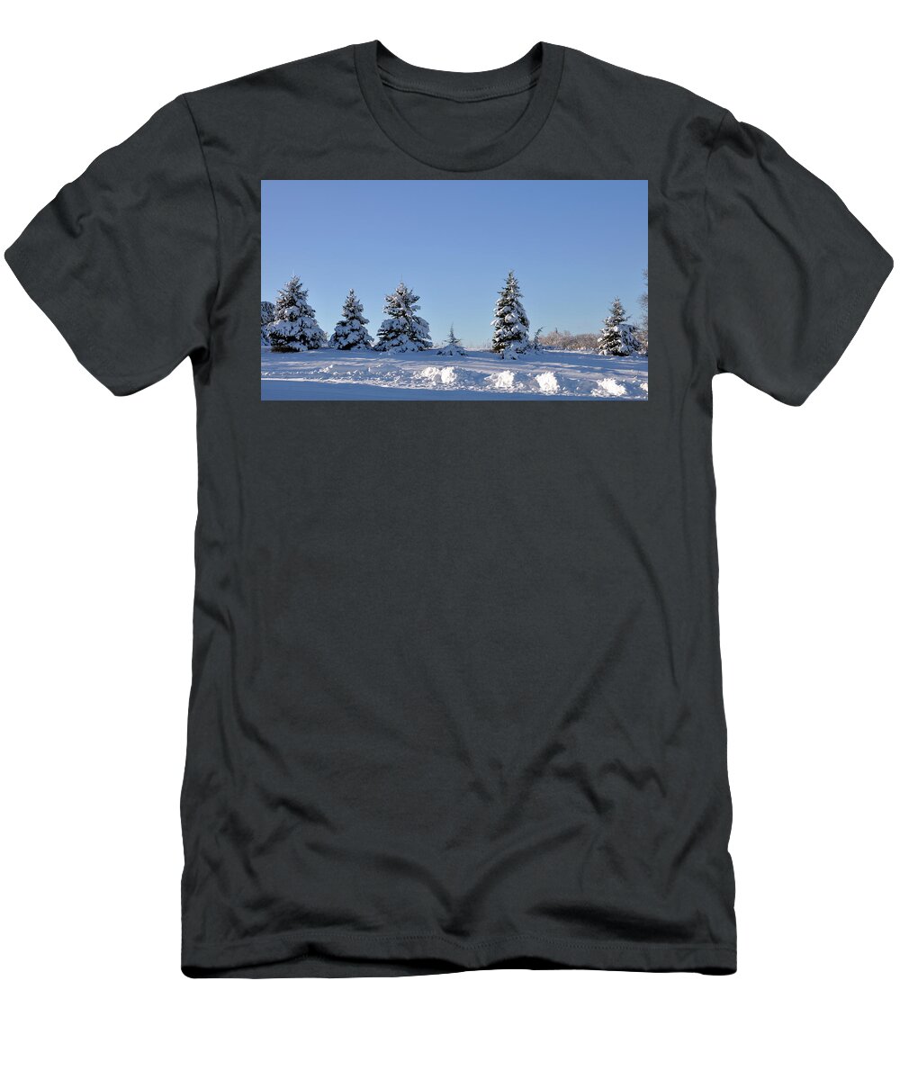 Landscape T-Shirt featuring the photograph The Sentinels by Rick Hansen