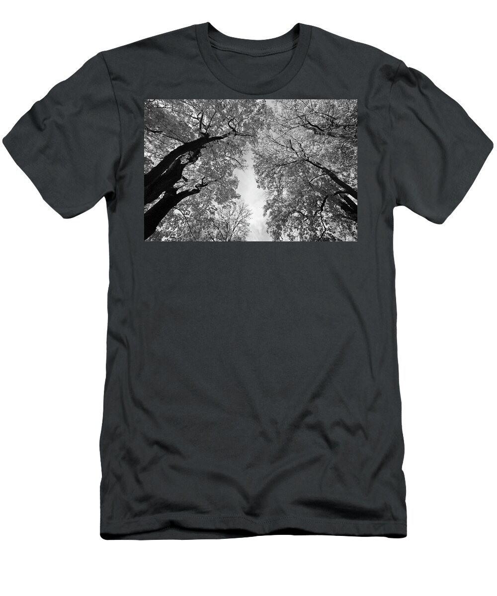 Nature T-Shirt featuring the photograph The sky is shimmering through the leaves of maple trees - monochrome by Ulrich Kunst And Bettina Scheidulin