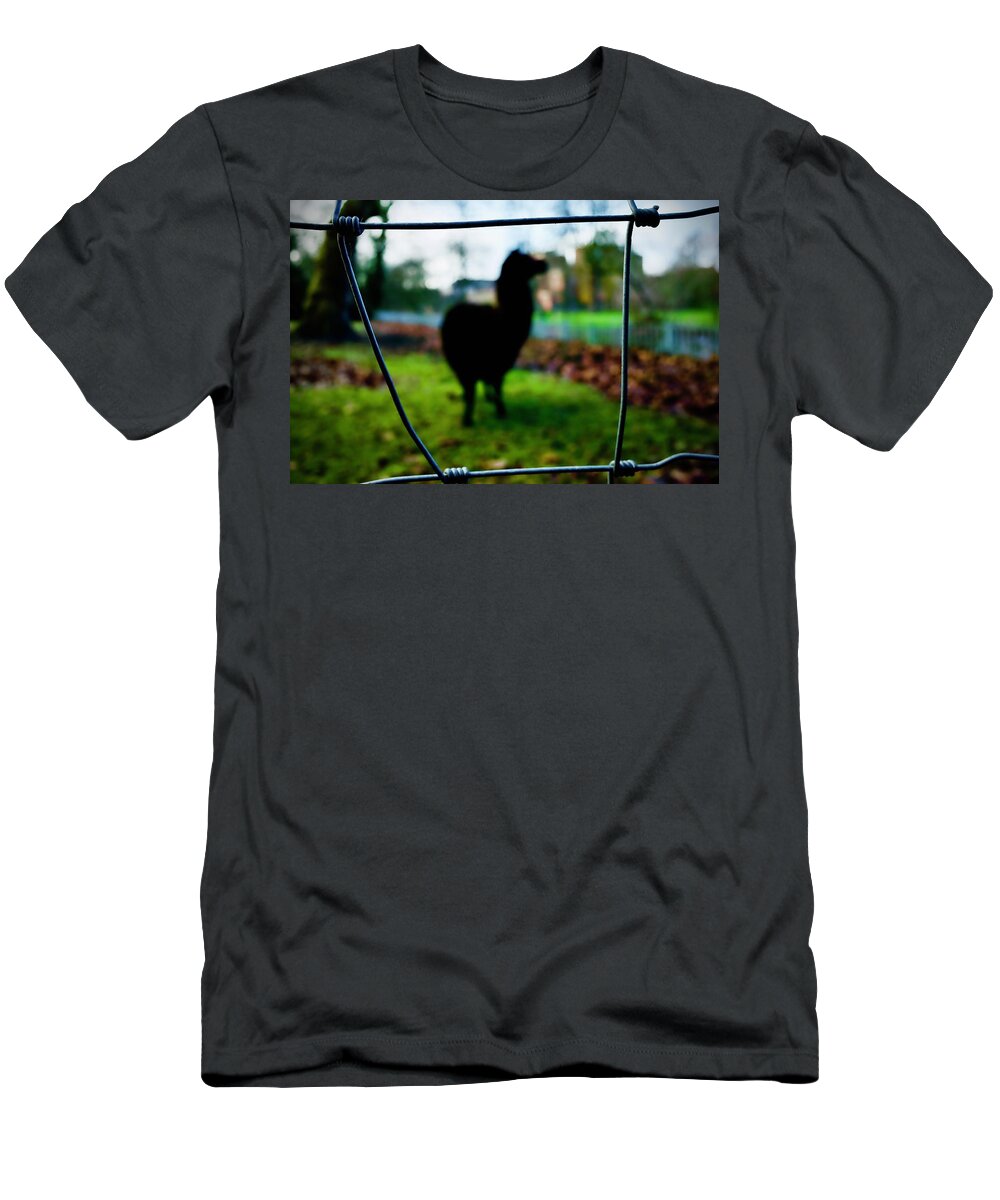  T-Shirt featuring the photograph The Street Photo 8 by So Sugawara