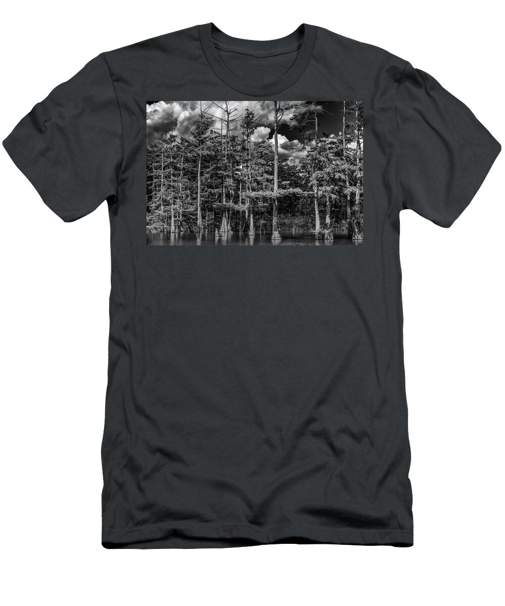 St Catherine Creek National Wildlife Refuge T-Shirt featuring the photograph The Swamp by Mike Schaffner