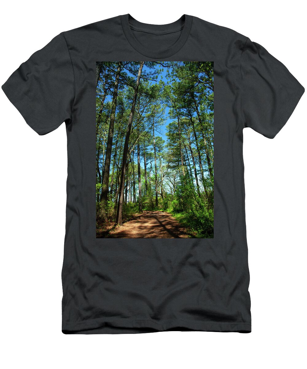 Moments At Roaring Point T-Shirt featuring the photograph The Trail At Roaring Point by Karol Livote