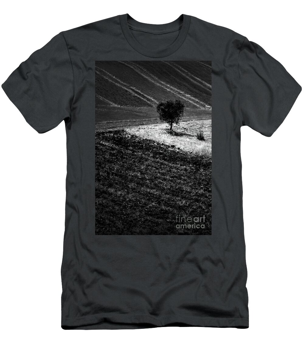 Tree T-Shirt featuring the photograph The tree by The P