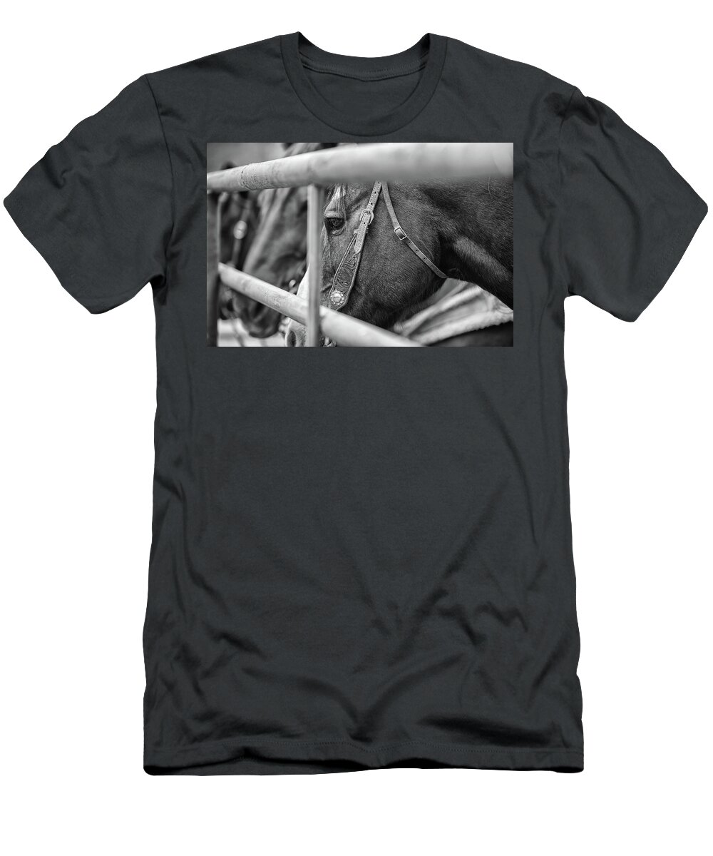 Horses T-Shirt featuring the photograph The Waiting Game by Ryan Courson