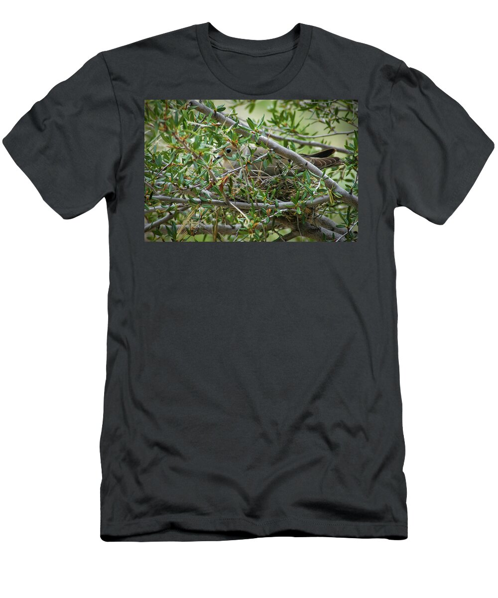 Bird T-Shirt featuring the photograph The Well Camouflaged Mourning Dove by Mary Lee Dereske