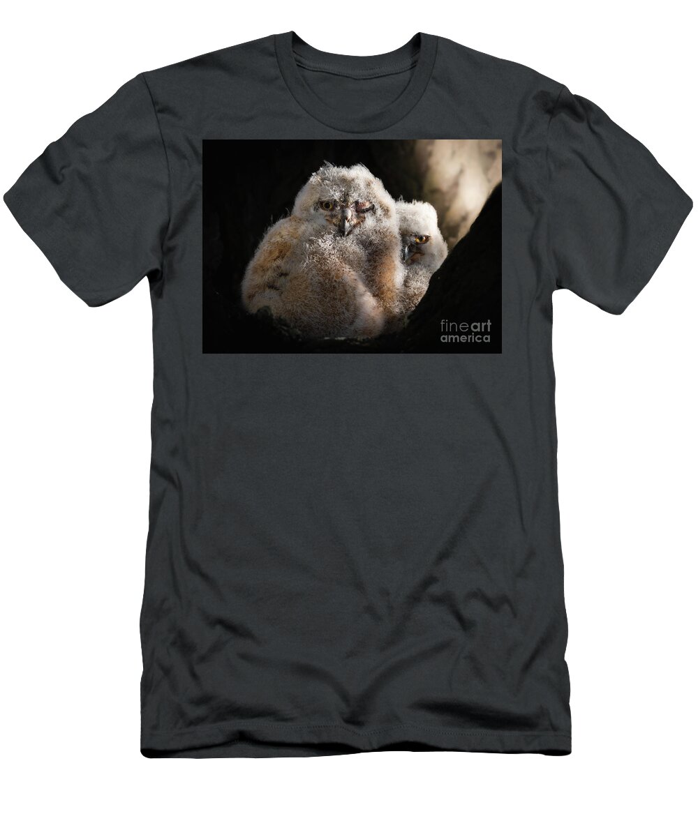 Great Horned Owlet Baby Photography Utah Wildlife Bird T-Shirt featuring the photograph The Wink by Jami Bollschweiler