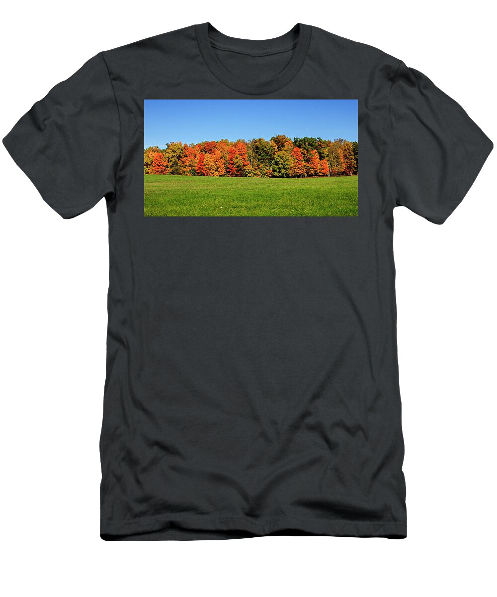 Scenic T-Shirt featuring the photograph The Woodlot Panorama by Mary Lee Dereske