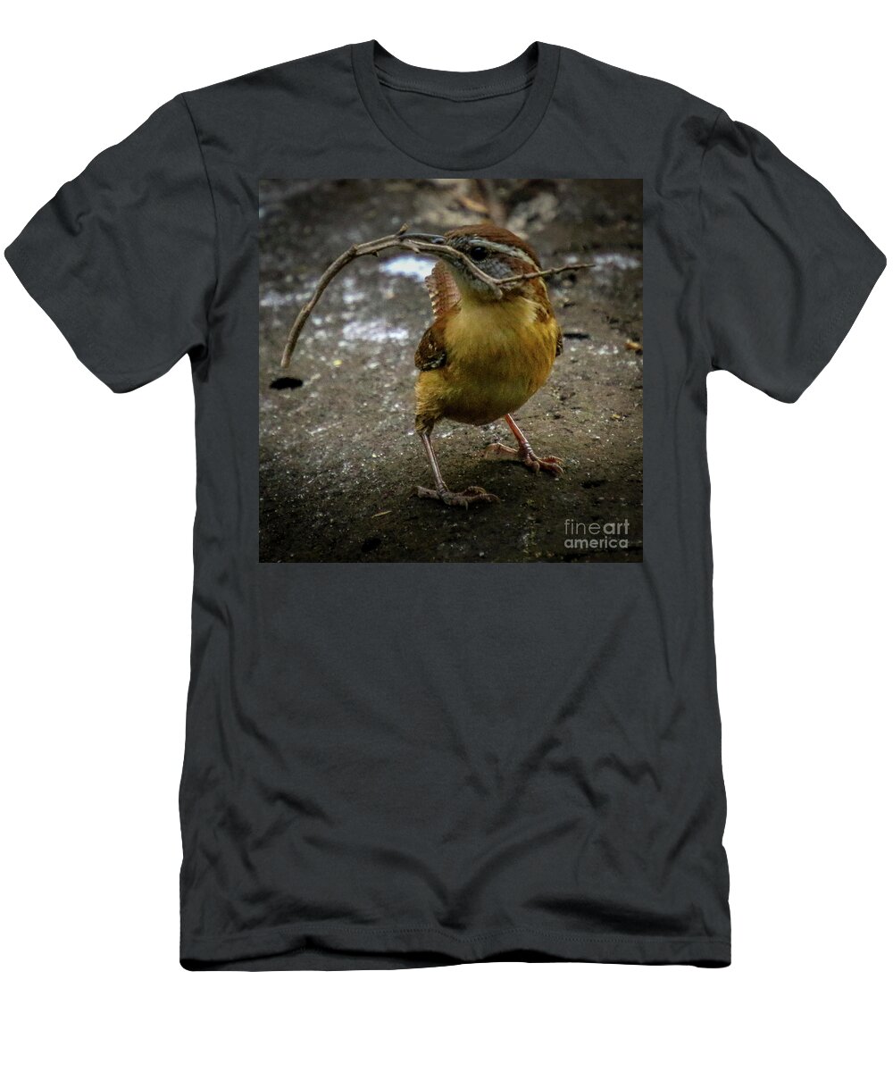 Wren T-Shirt featuring the photograph The Wren Is A Family Wren by Philip And Robbie Bracco