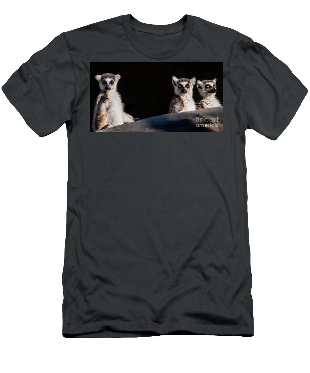 David Levin Photography T-Shirt featuring the photograph This Spot's for You by David Levin