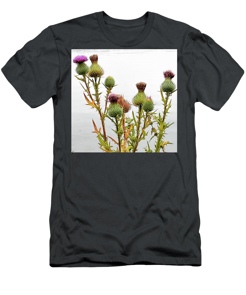 Thistles T-Shirt featuring the photograph Thistles by James Canning