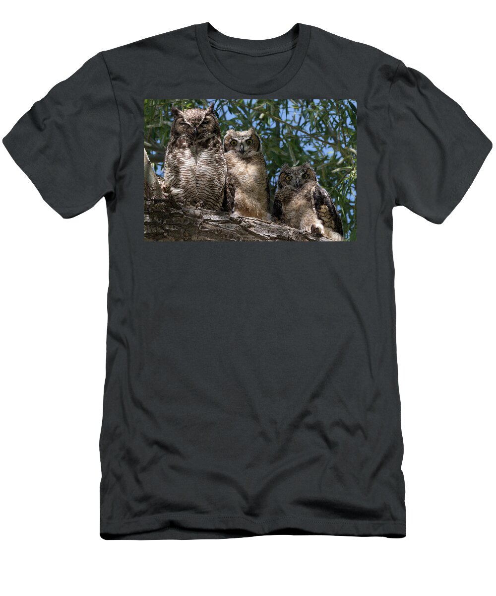 Owls T-Shirt featuring the photograph Three Great Horned Owls Family Portrait by Kathleen Bishop
