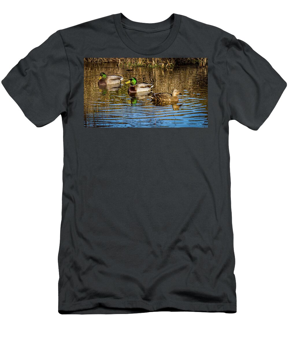 Birds T-Shirt featuring the photograph Three Mallard ducks chilling out by Louis Dallara