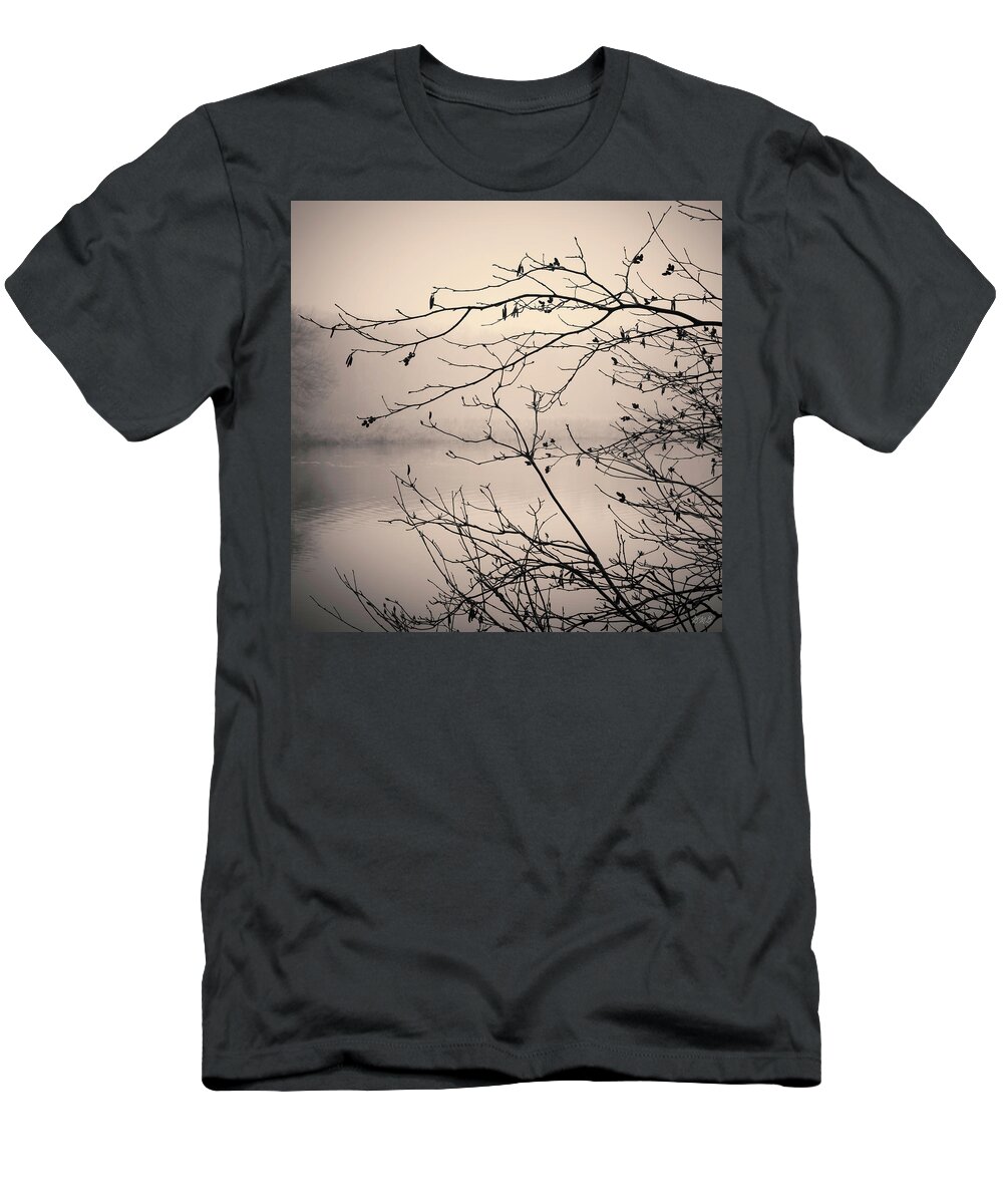 3 Mile River T-Shirt featuring the photograph Three Mile River XVII Toned by David Gordon