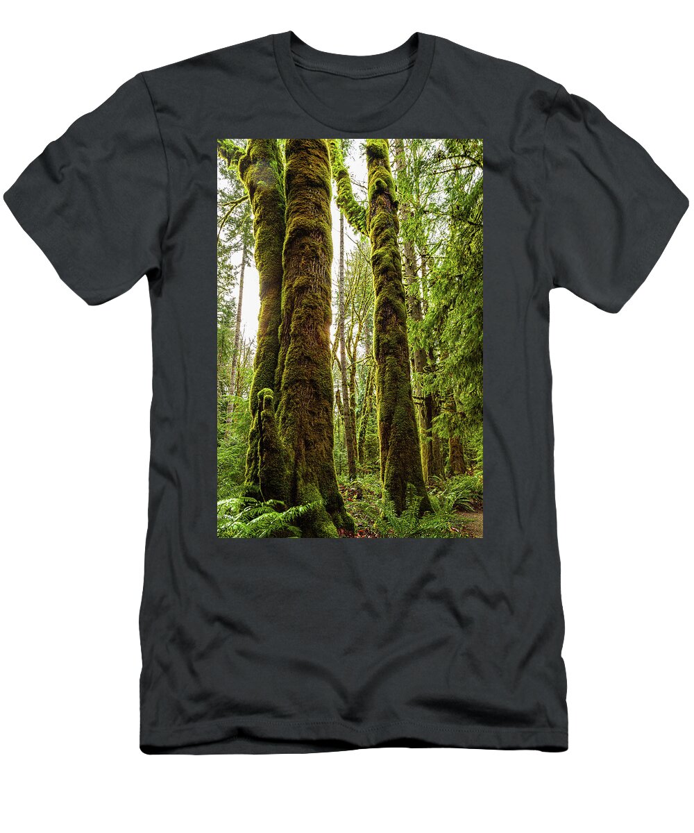 Landscapes T-Shirt featuring the photograph Three Old Boys by Claude Dalley