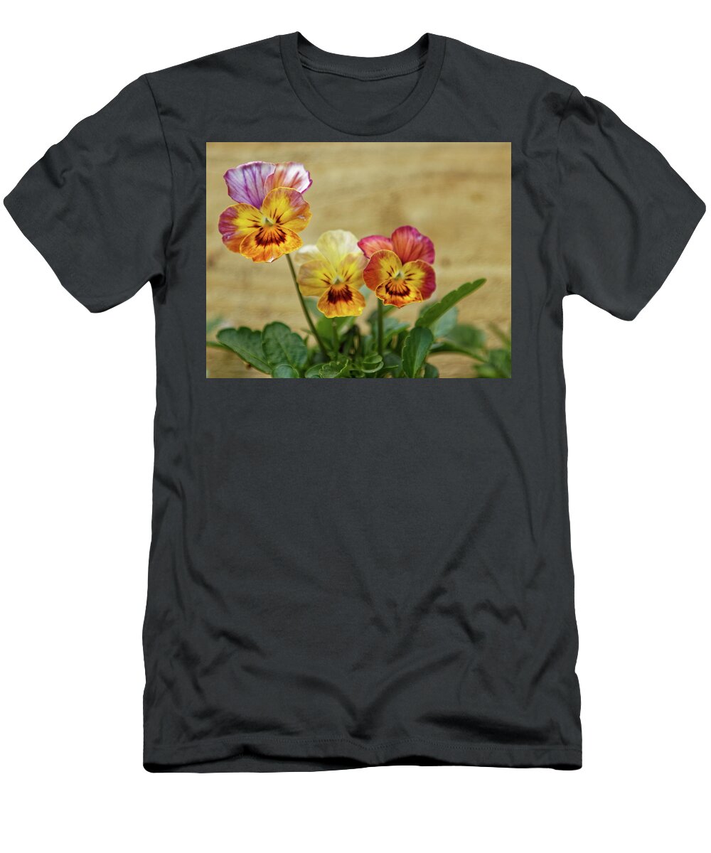 Viola T-Shirt featuring the photograph Three Viola Flowers by Jeff Townsend
