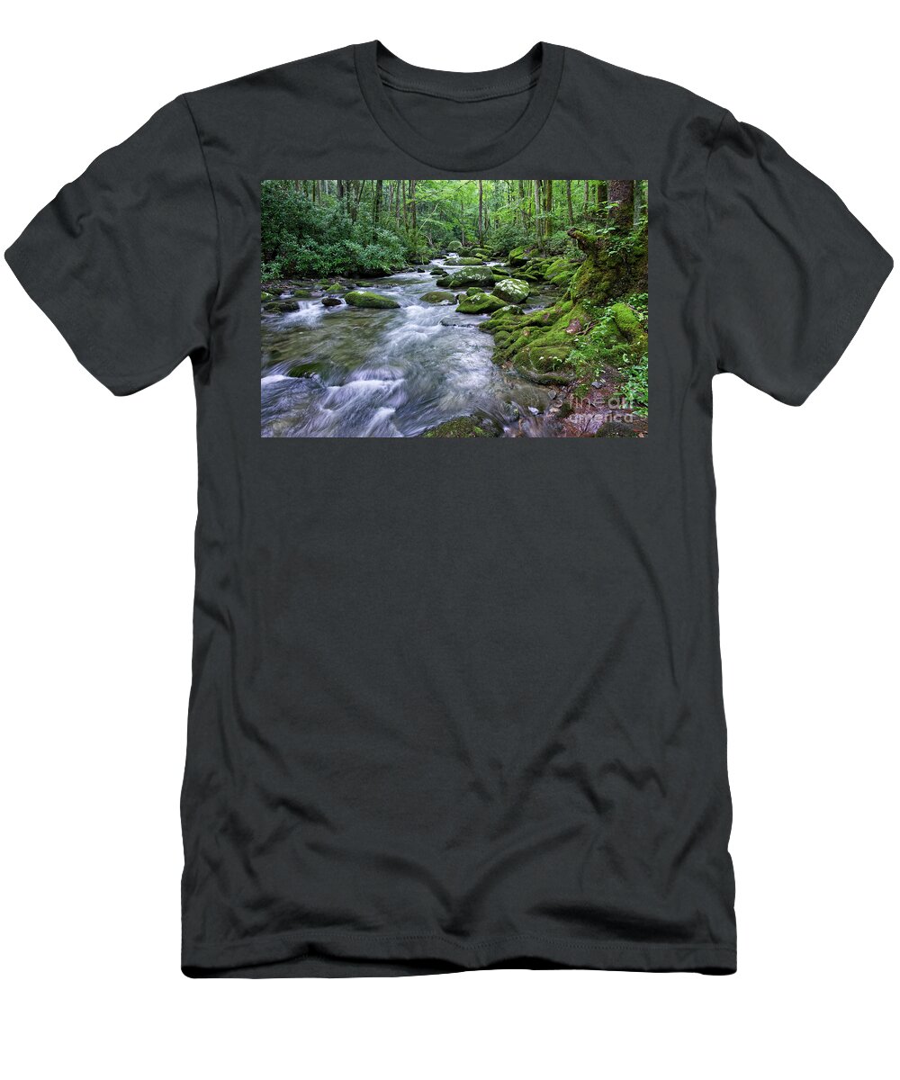 Smoky Mountains T-Shirt featuring the photograph Thunderhead Prong 15 by Phil Perkins