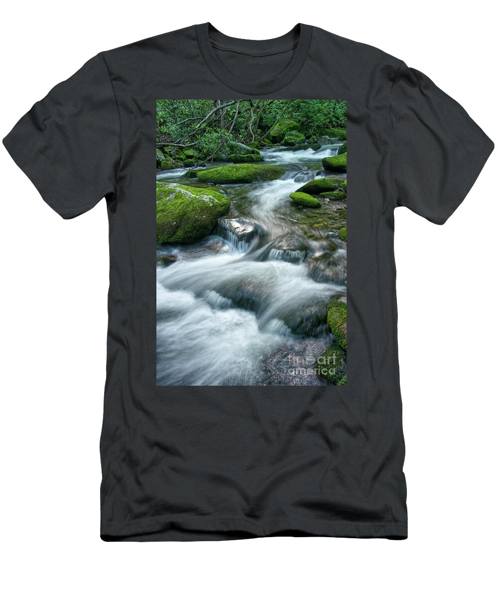 Smoky Mountains T-Shirt featuring the photograph Thunderhead Prong 16 by Phil Perkins