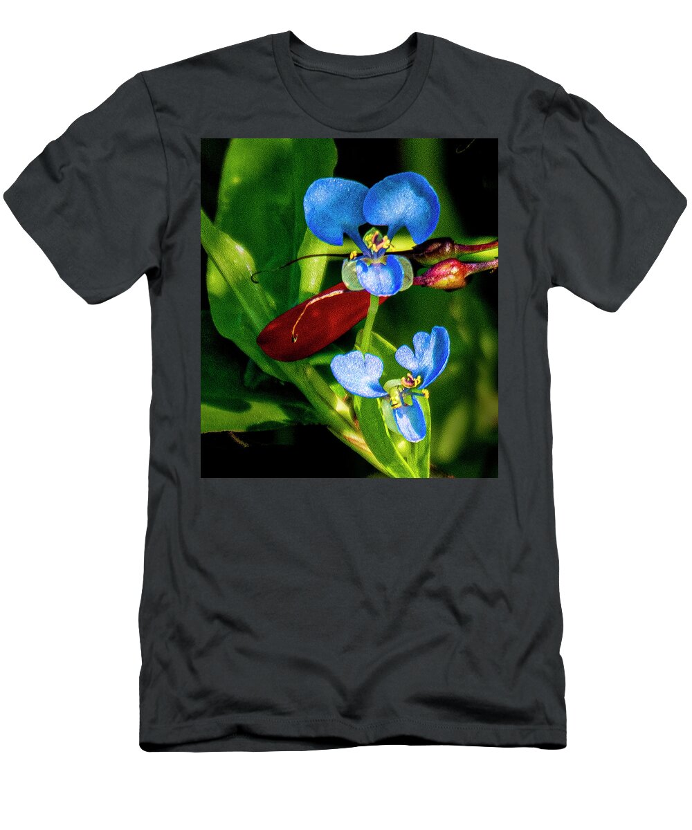 Flower T-Shirt featuring the photograph Tiny Blue Flower by Don Durfee