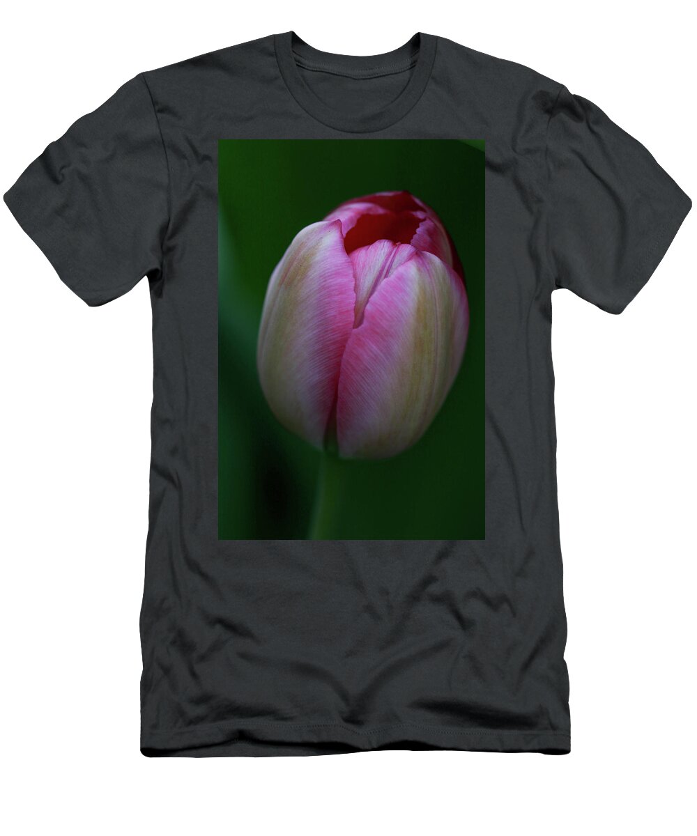 Tulip T-Shirt featuring the photograph Tiny Tulip by Mary Anne Delgado