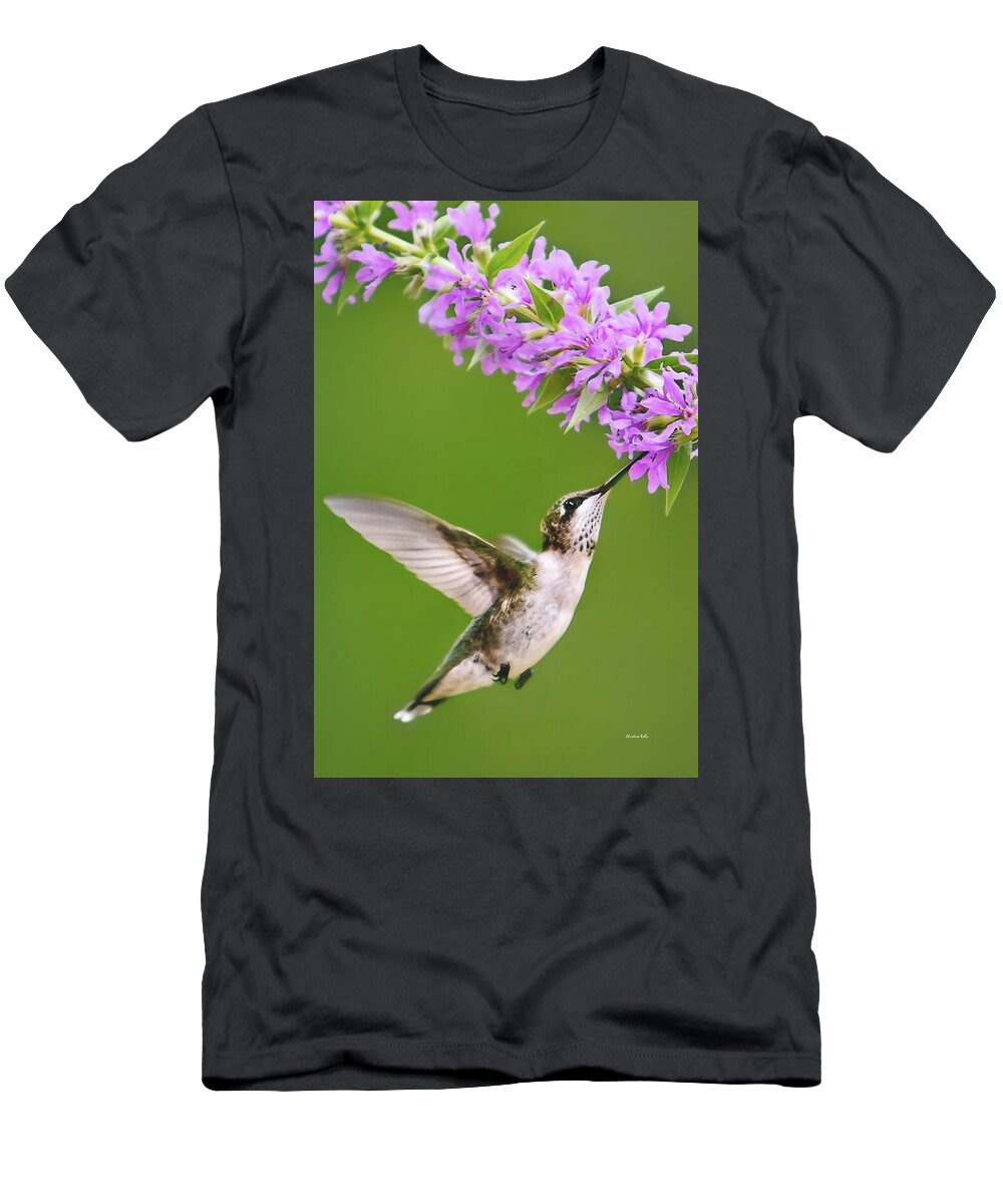 Hummingbird T-Shirt featuring the digital art Touched Hummingbird by Christina Rollo
