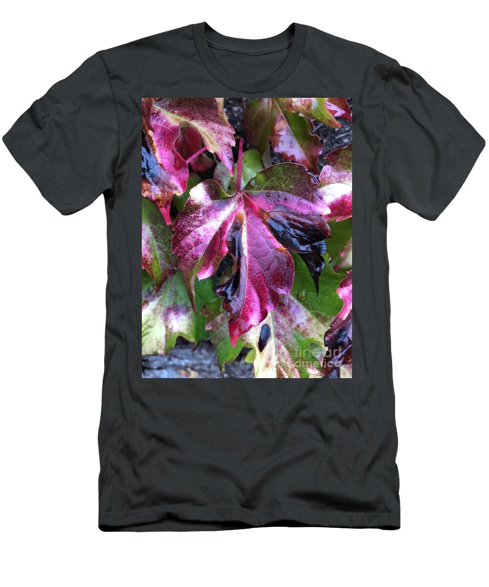 Leaf T-Shirt featuring the photograph Transformation by Tina Marie