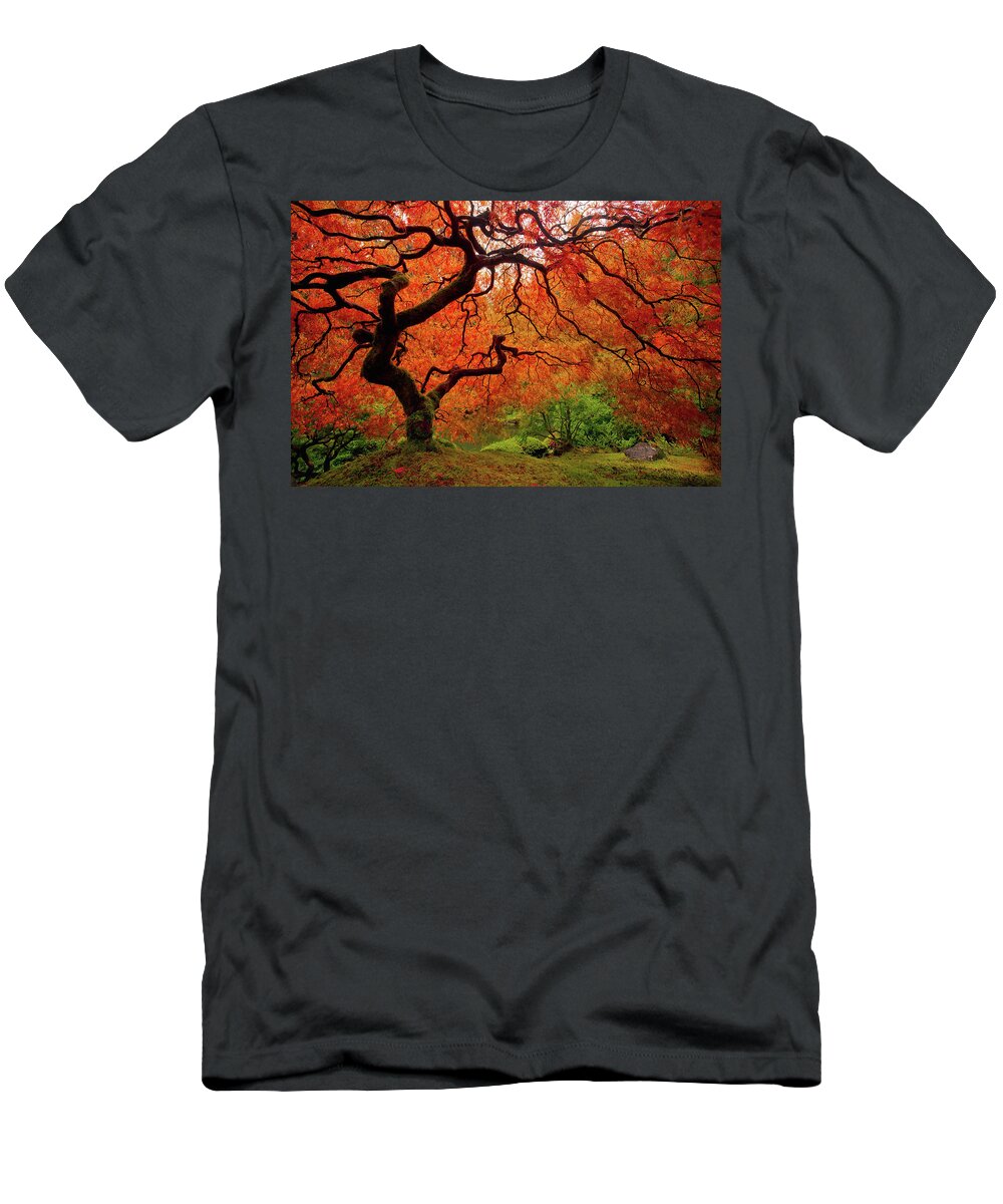 Fall T-Shirt featuring the photograph Tree Fire - New and Improved by Darren White