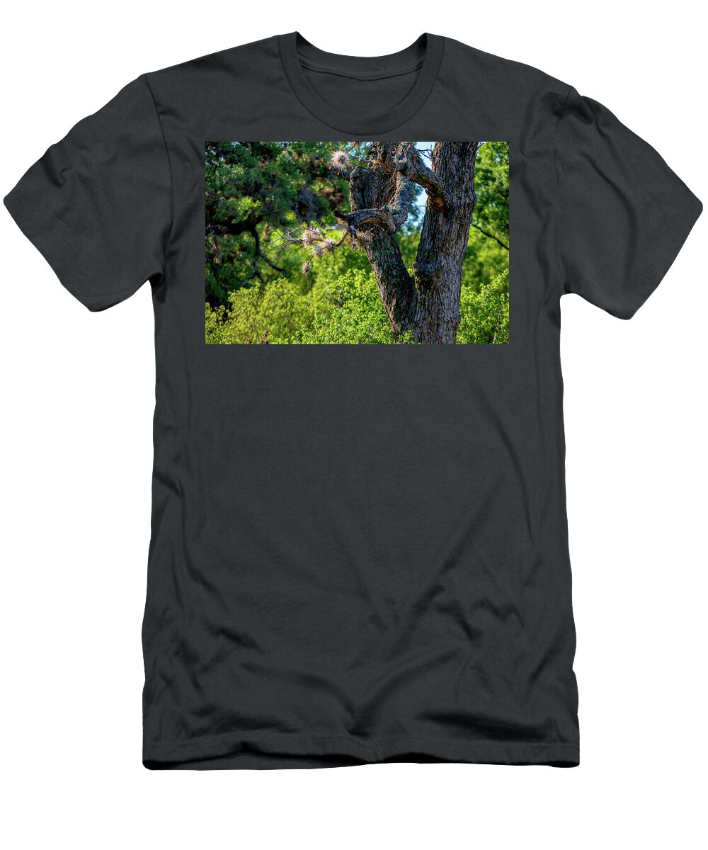 Tree T-Shirt featuring the photograph Tree in the Texas Sun by Nathan Wasylewski