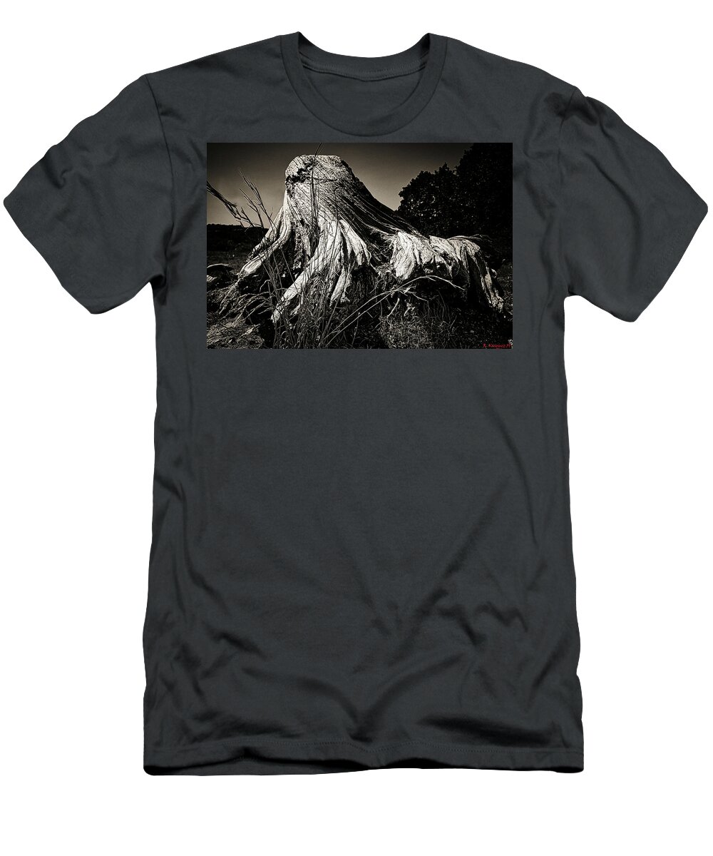 Tree T-Shirt featuring the photograph Tree Remnants by Rene Vasquez