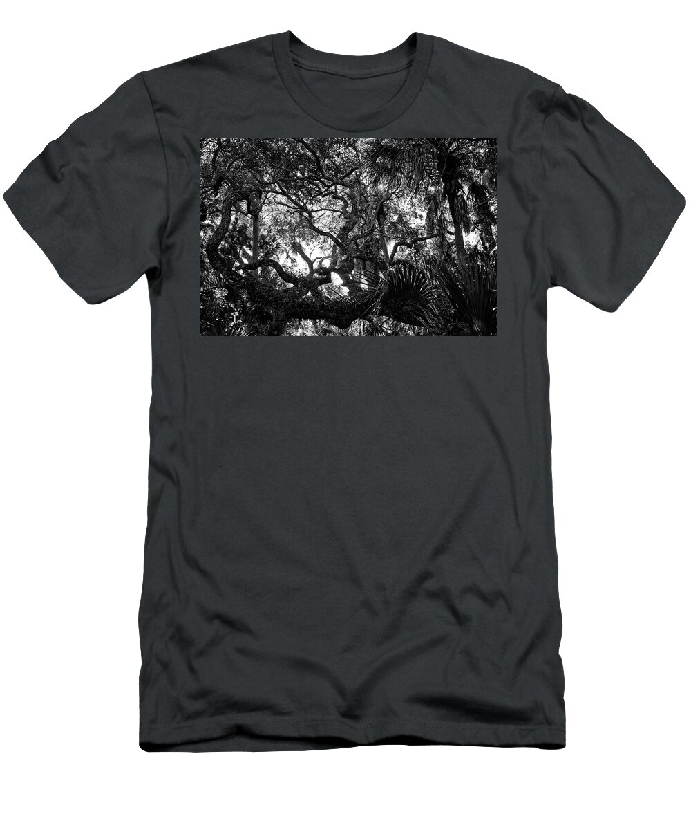 Texture T-Shirt featuring the photograph Tree Textures by George Taylor
