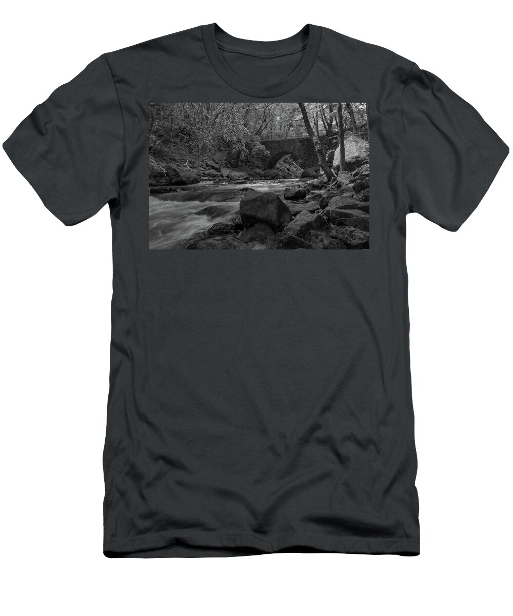 Trees T-Shirt featuring the photograph Trees along the Rockaway River #2 by Alan Goldberg