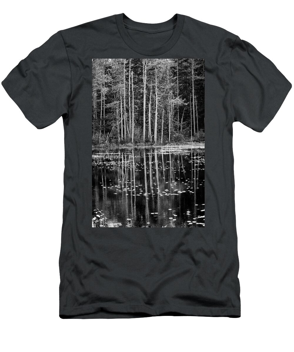 East Dover Vermont T-Shirt featuring the photograph Trees And Pond by Tom Singleton