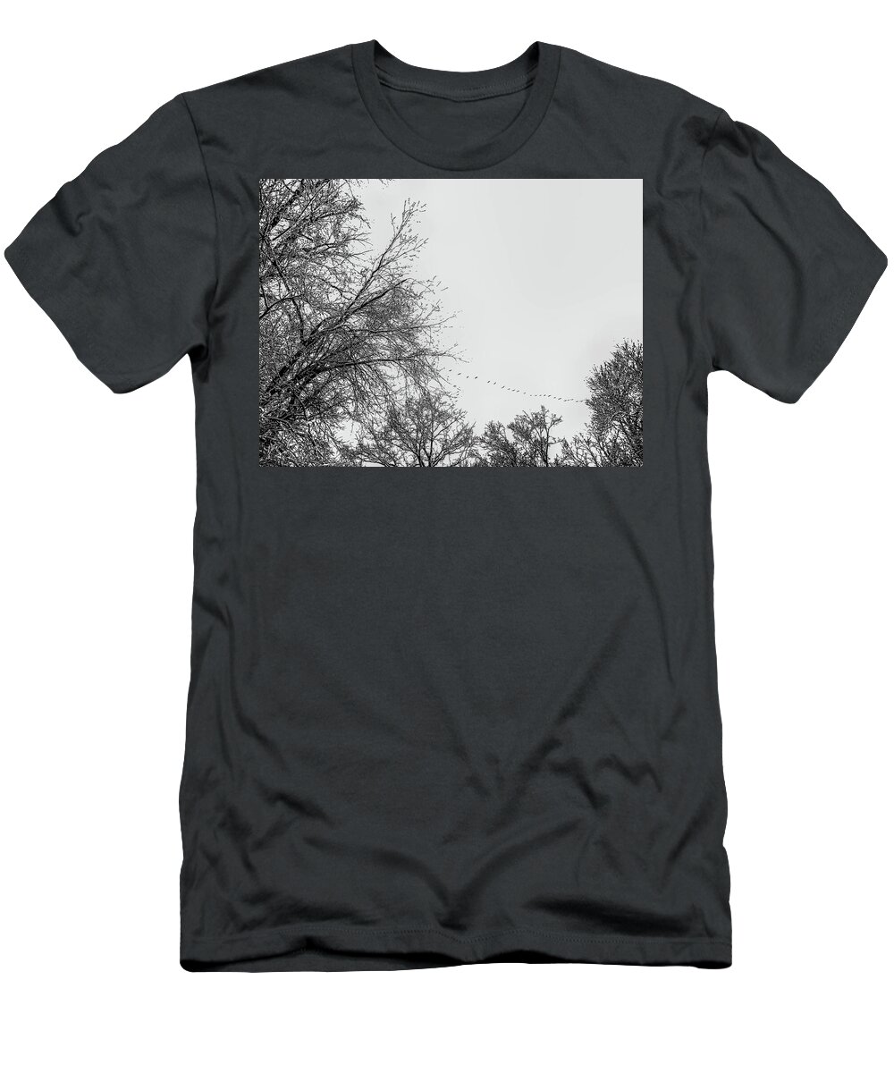 Tree T-Shirt featuring the photograph Trees in Winter's Snow with geese by Alan Goldberg
