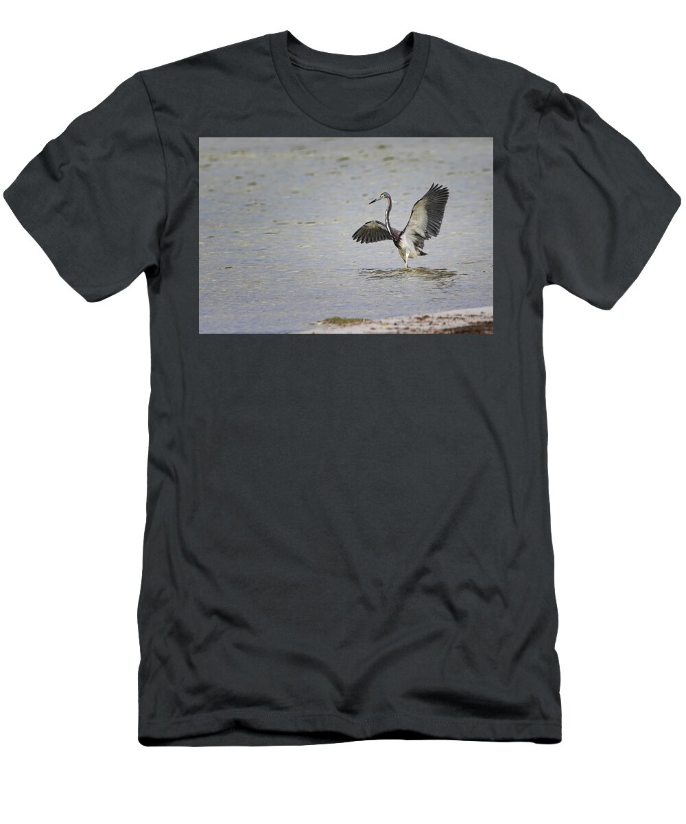 Tricolor Heron T-Shirt featuring the photograph Tricolor Heron at Cedar Island North Carolina by Bob Decker