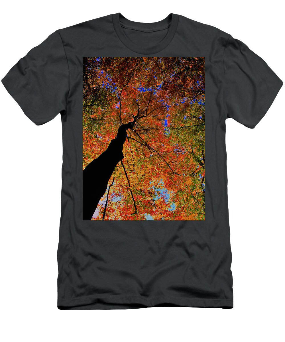 Tree T-Shirt featuring the photograph Trip Tree by Luc Van de Steeg