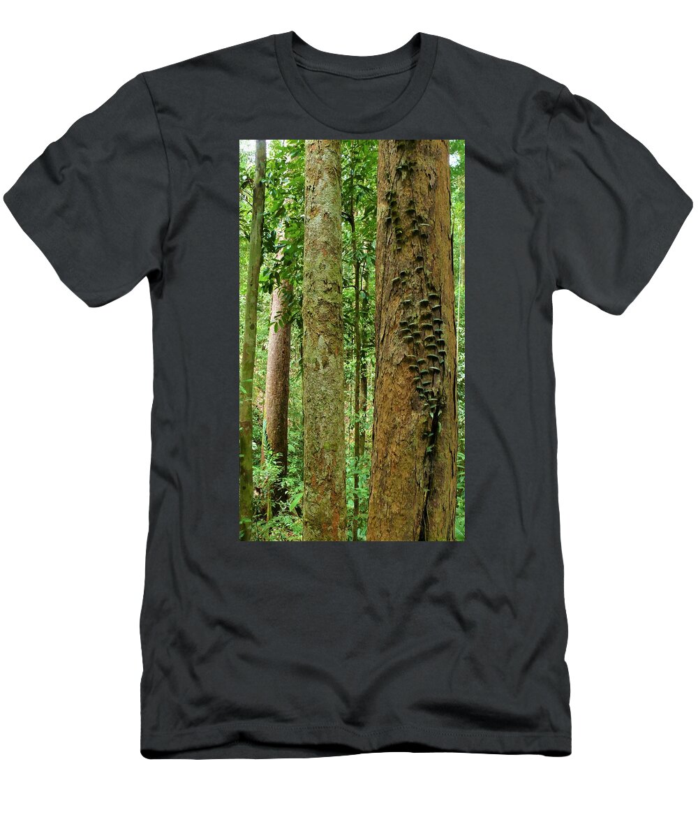 Tropical Forest T-Shirt featuring the photograph Tropical Forest 1 by Robert Bociaga