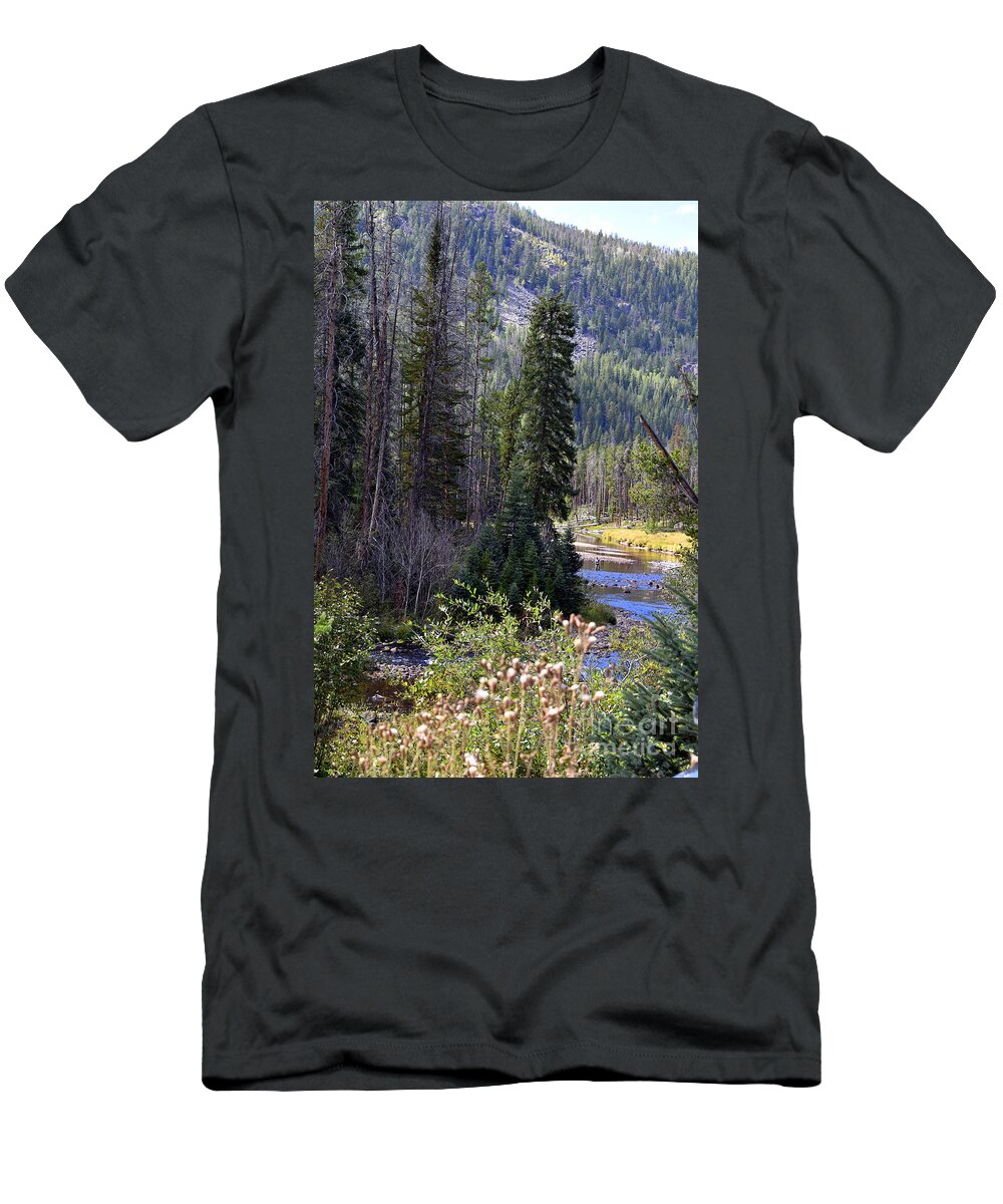 Lake T-Shirt featuring the photograph Trout Fisherman by Anjanette Douglas